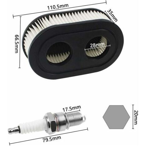 Filtro olio o aria per motore termicoParti del motoreFiltro aria per tosaerba con 2 candele (1/4)