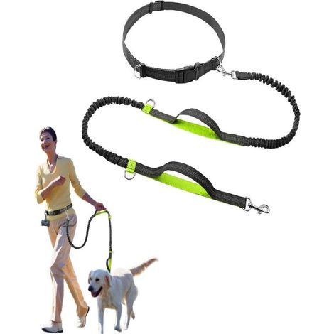 Laisse pour chien Hands Dog Leash, laisse élastique durable à double poignée - Verte (1/5)