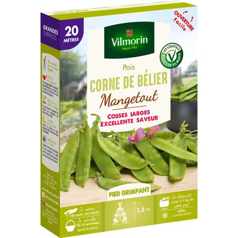 Pois Mangetout Corne de Bélier - 20 m Vilmorin (1/2)