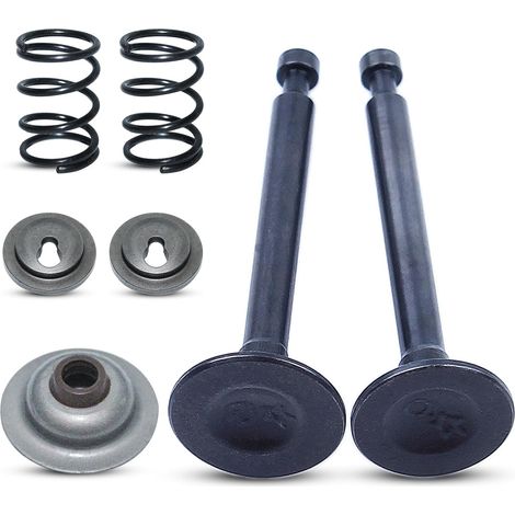 Kit de soupape GX25, Pour Honda GX25 HHT25S coupe-bordure, 4711-Z0H-000 14721-Z3E-000 (1/5)