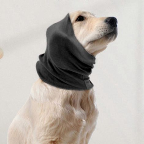 Ohrenschützer für Hunde – Lärmreduzierung und Angstlinderung beim Baden-L-Black