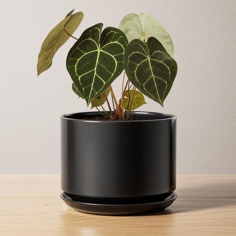 Pot de Fleurs en Céramique 17 cm, Pot de Fleurs avec Soucoupe Intégrée et Trou de Drainage, Petit Cache-Pot Moderne, Robuste et Durable pour Décoration Maison et Bureau, Finition Mate, Noir (1/5)