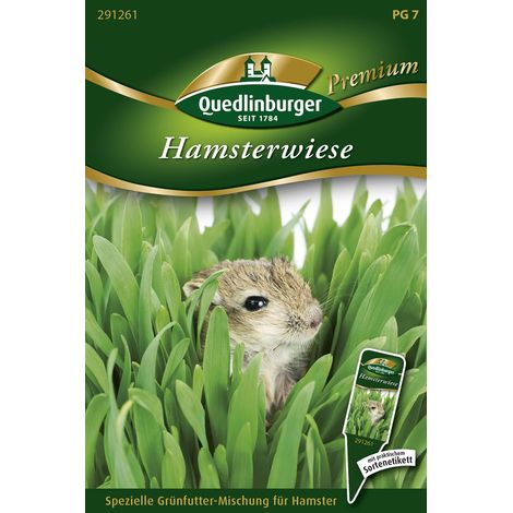 Quedlinburger Saatgut – Prairie pour hamsters – Mélange de graines de plantes vertes et d'herbes aromatiques, environ 1 m² (1/2)