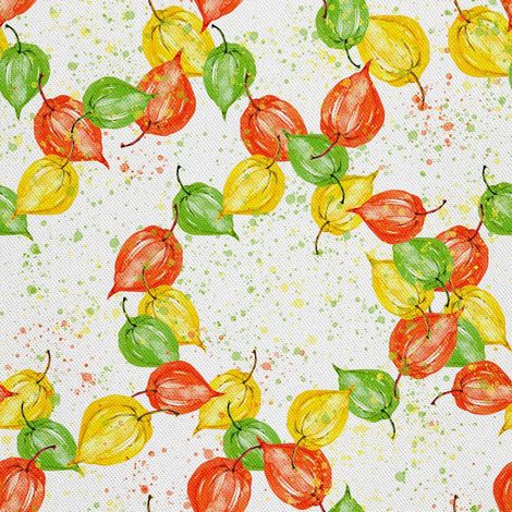 Outdoor-Dekostoffe Oxford - Motiv Physalis-Pflanze (1/5)