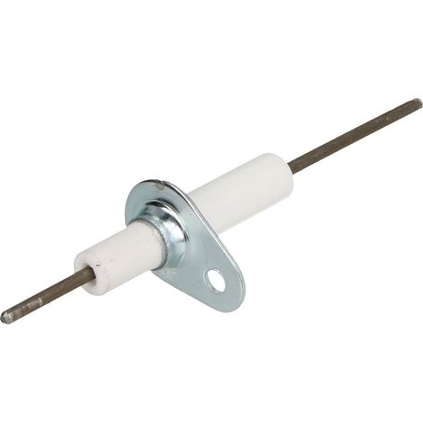 Électrode d'ionisation