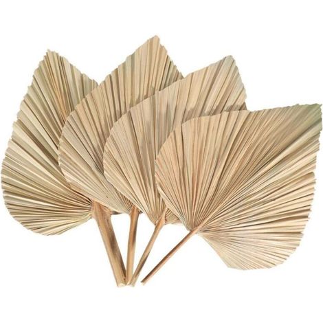 Feuille De Palmier Séchée - 40 x 24 cm - Décoration Intérieure Bohème Et Tropicale - Pour Vase Centre De Table Éventail - Lot De 4 (1/4)