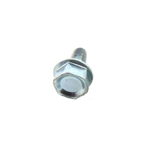 CP026016 - Vis auto-foreuse pour Tondeuse MARINA