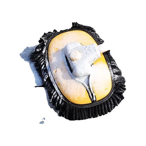 Brosse de nettoyage, poignée télescopique, design à double brosse, Brosses de nettoyage (1/2)