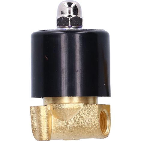 Électrovanne normalement fermée, petite, pour eau, air et diesel, 1/4 po, 2W-025-08AC24V (1/5)