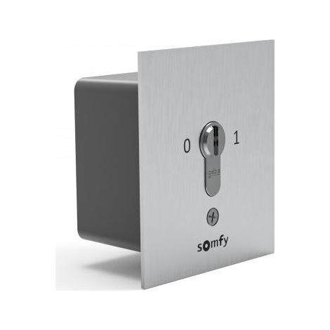 Somfy – Contacteur à clé universel encastré fixe impulsionnel mixte – Pour portails et volets roulants – Boîtier métallique laqué – Facile à installer (1/2)