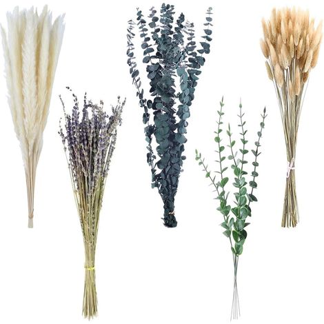 100Pcs Fleurs Séchées Bouquet,Herbe de la Pampa Pampas Séchées Décoration (1/5)