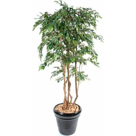 Ficus Natasja Artificiel multitroncs bois en pot H 110 cm Vert - dimhaut: H 110 cm - couleur: Vert
