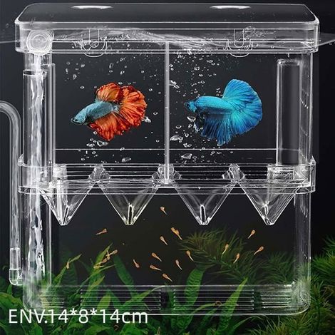Aquarium Pondoir - Non spécifié - Boîte d\'élevage - Acrylique - 14x8x14cm - Multi-fonctionnel (1/4)