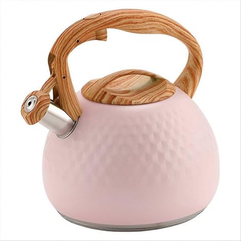 Bouilloire sifflante 3L avec couvercle et poignée, casserole pour eau chaude, thé et café, acier robuste, usage quotidien en cuisine (1/5)