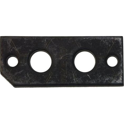 BOSCH Joint Électrode (2x) everp, 8718583001