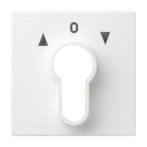 Gira Tapa Interruptor/pulsador llave System 55 Blanco puro m [066427], 0664 27