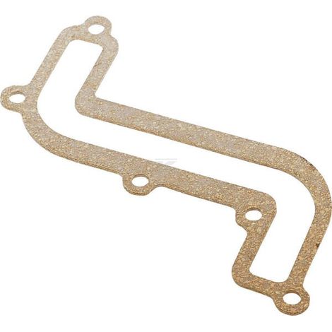 Guarnizione sfiato BRIGGS & STRATTON 791760