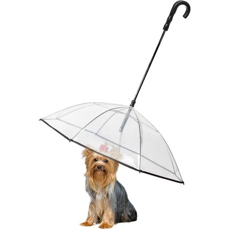 Parapluie transparent pour petits chiens – Imperméable, laisse avec chaîne en métal, équipement de pluie pour promenades en extérieur (1/5)