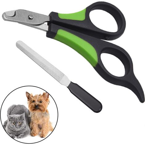 Ciseaux À Ongles Pour Animaux - Acier Inoxydable - Pour Chats Chiens Lapins Et Petits Animaux - Poignées Ergonomiques Avec Garde De Sécurité - 1 Pièce (1/5)