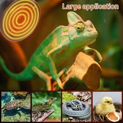 Lampada Ceramica Riscaldante Lampada 220V, E27 60W Lampada Riscaldante Rettili Nera, Lampada Infrarossi Riscaldante Animali Lucertola, Tartaruga, Pulcino, Serpente (1/2)