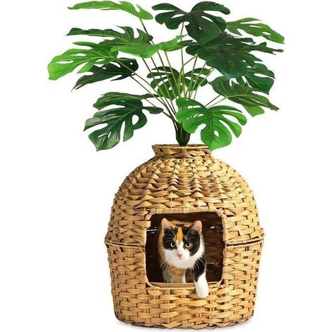 Letto per gatti - CT03 Divit - Aspetto rattan marrone - Pianta artificiale integrata - Vaschetta removibile