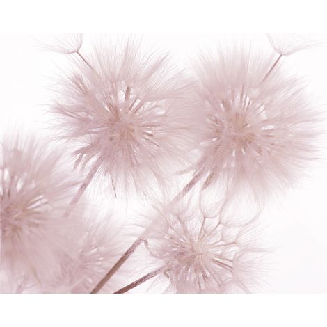 papier peint panoramique fleurs rose clair - Sanders & Sanders (1/5)