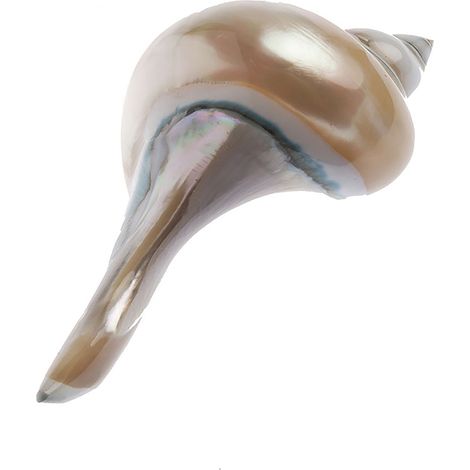 COQUILLAGE - Repose-Couteau en Nacre - 9.5cm - Fait Main - Pièce Unique - Style Bord de Mer - Élégant et Naturel