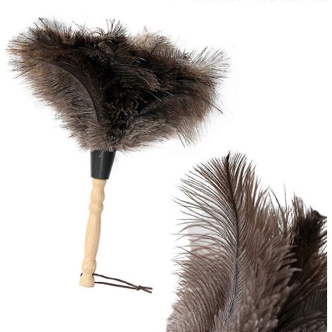 Plumeau en plumes d'autruche 2025, manche en bois, 36 cm, pour salon ou bibliothèque (1/5)
