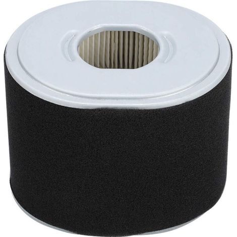 Rasenmäherfilter, Ersatzfilterschwamm, sicher, umweltfreundlich, kompakt und professionell für GX390 und GX340 (11/13 PS) (1/5)