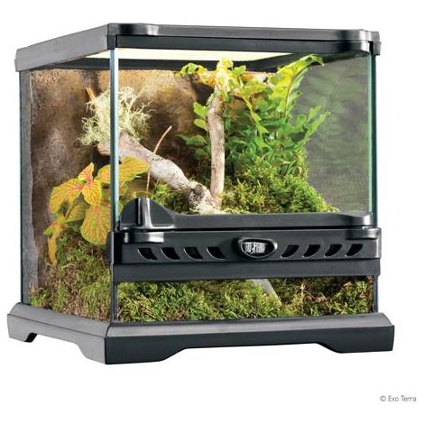 Terrario de cristal Exo Terra