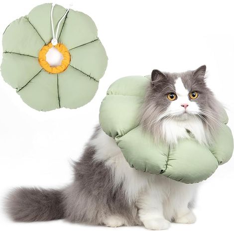 Colerette Chat Collier de Récupération Adjustable et Imperméable pour Chat, Collier de Sécurité Anti-Morsure Léchage pour Cicatrisation, Style Fleur Violette Toutes Saisons (Vert M) (1/5)