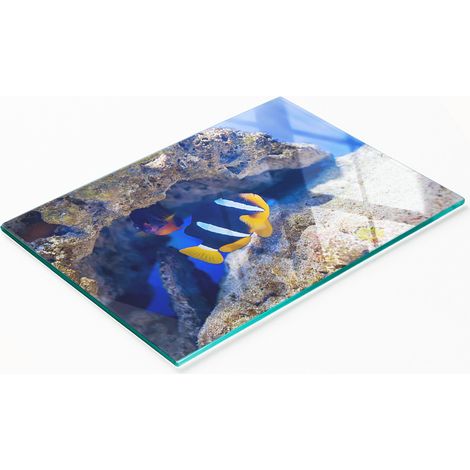 Piatto decorativo multifunzionale in vetro con pesci tropicali per la cucina, 80x52 cm. (1/5)