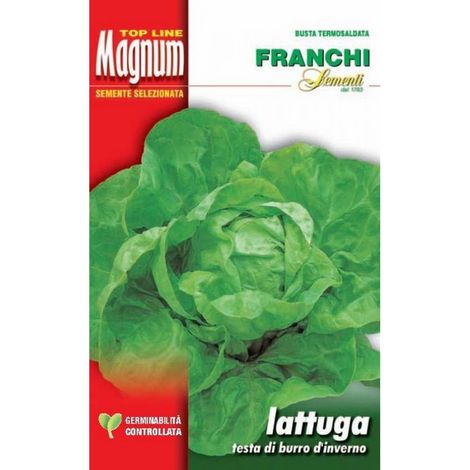 SEMI LATTUGA TESTA DI BURRO D'INVERNO BUSTA MAGNUM FRANCHI SEMENTI