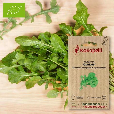 Roquette Cultivée