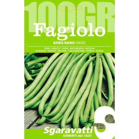 Semi per Fagioli Fagiolo Bobis Sgaravatti Bianco 5 Pezzi 100 gr