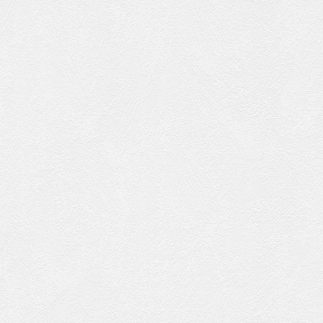 BRICOFLOR Papier peint uni Papier peint intissé Blanc - 10,05 x 0,53 m (1/4)