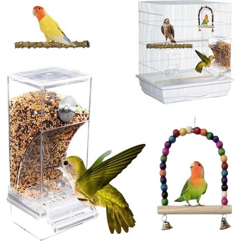 Distributeur de nourriture automatique pour oiseaux, mangeoire anti-gaspillage transparente pour cage, accessoire d'alimentation pour perruches et perroquets