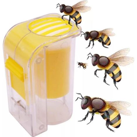 Cage/piège à reine, flacon étiqueté, extracteur d'abeilles, outils apicoles - AquaForge
