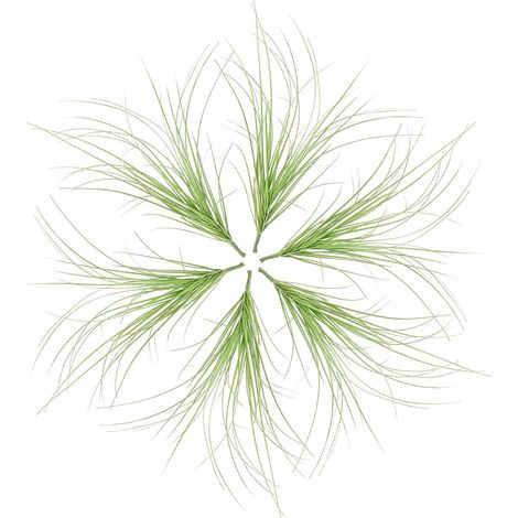 8 Pièces Gazon Artificiel en PVC Vert, Design Réaliste, Déco Salon et Maison, Style Rustique et Ferme (1/5)