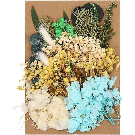 1 Stück gepresste Blumen (1/3)