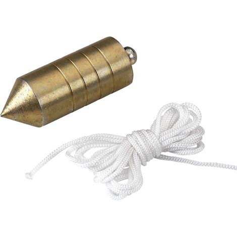 PLOMB MAGNÉTIQUE NOYER PLASTIQUE 750 GR (1/5)