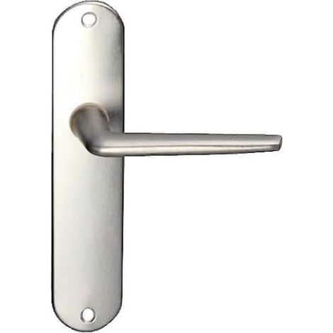 1 Paire - Poignée De Porte - Plaque Aluminium - Bec De Cane - Pour Portail Et Porte D Entrée - Argent - 40x185cm