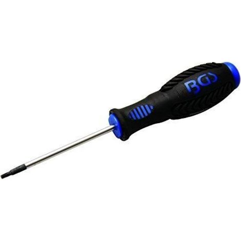 Tournevis - Embout Torx T10 - Acier - Pour Bricolage - À L'unité