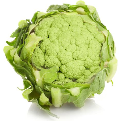 Semi di cavolfiore verde di Macerata "Settembrino" piante per orto e giardino