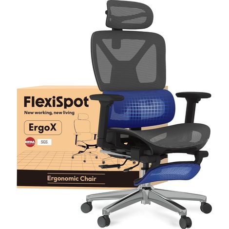 FlexiSpot ErgoX Chaise Bureau en Maille avec Repose-Pieds, Gris (1/5)
