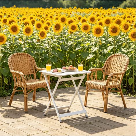 Table jardin pliante aluminium 50,5x46,5x60 cm HAVRYA (1/5)