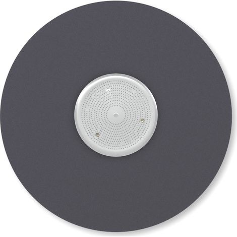 Treibteller für Schleifscheiben für Einscheibenmaschine MENZER ESM 406