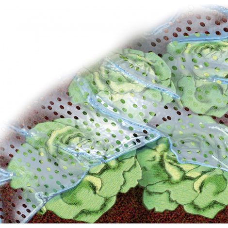 Trasparenti Perforati Pellicola 1,5X10M 20 Micron