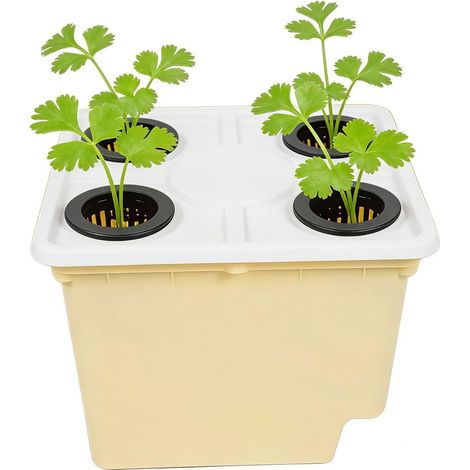 Gemüsepflanzer Gartenbedarf Gewächshausbehälter mit