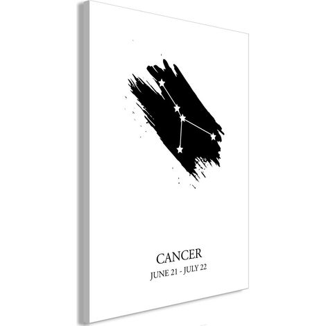 Tableau signes du zodiaque cancer vertical - 60 x 90 cm (1/4)